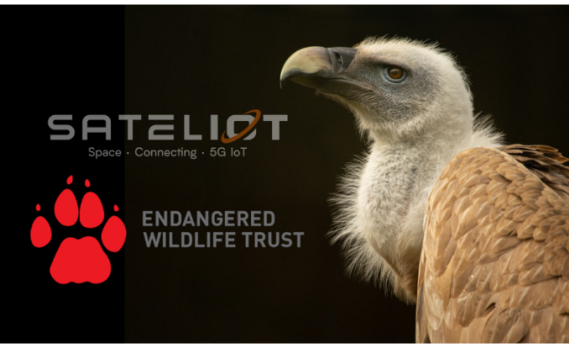 Sateliot and EWT to Revolutionise Wildlife Conservation with 5G IoT Satellites.